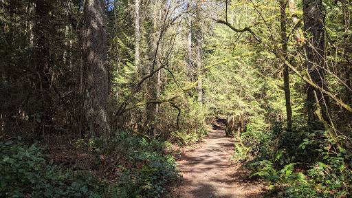 Nature Preserve «Gazzam Lake Nature Preserve», reviews and photos, 6105 NE Marshall Rd, Bainbridge Island, WA 98110, USA