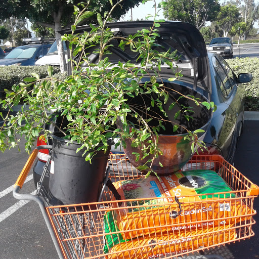 Home Improvement Store «The Home Depot», reviews and photos, 110 E Sepulveda Blvd, Carson, CA 90745, USA