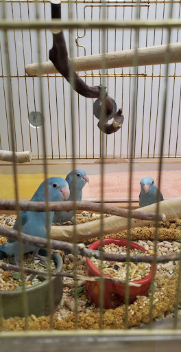 Pet Store «Friendly Pets», reviews and photos, 625 Friendly Center Rd, Greensboro, NC 27408, USA