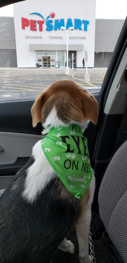 Pet Store «PetSmart», reviews and photos, 1606 E Empire St, Bloomington, IL 61701, USA