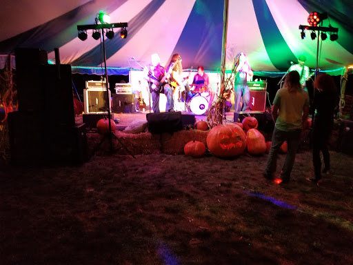 Live Music Venue «Dunesville Music Festival Main Stage», reviews and photos, 4846 N Hulbert Rd, Interlochen, MI 49643, USA