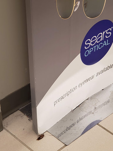 Eye Care Center «Sears Optical», reviews and photos, 686 Brandon Town Center Dr, Brandon, FL 33511, USA