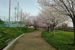 Kashihara Sports Park image