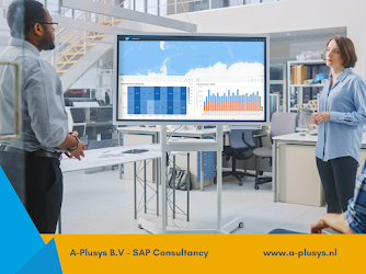 A-Plusys B.V. (SAP Consultancy_SAP Consultant)