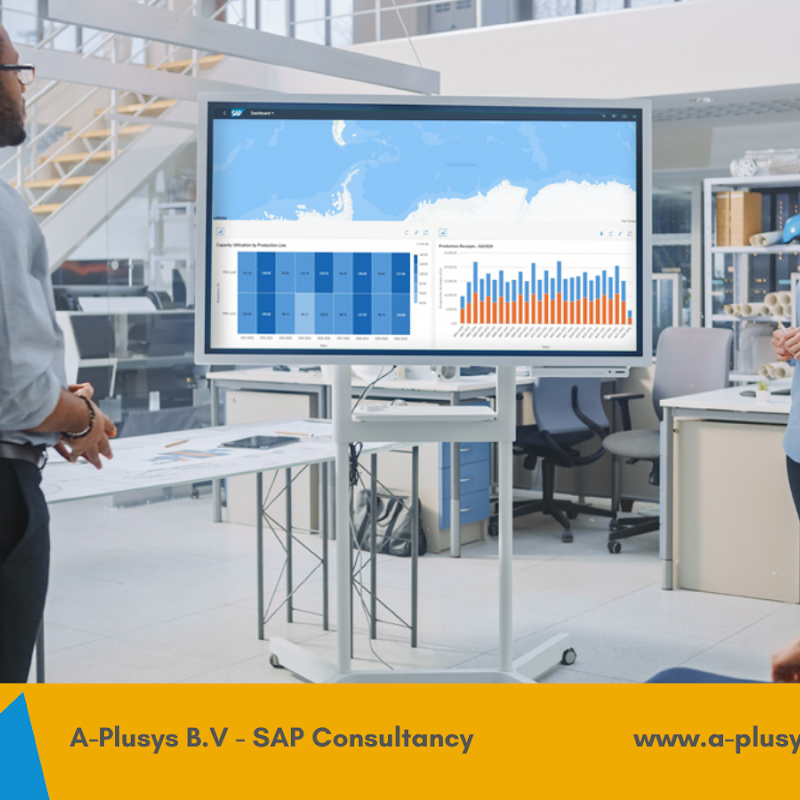 A-Plusys B.V. (SAP Consultancy_SAP Consultant)