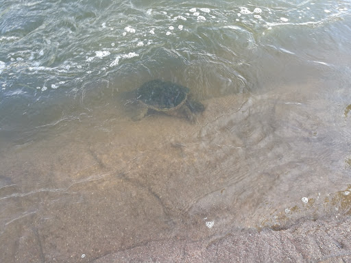 Park «Commons Park», reviews and photos, 2101 15th St, Denver, CO 80202, USA