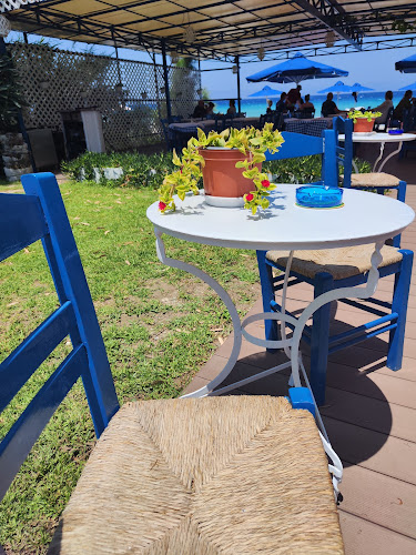 Comentarii opinii despre MAESTRO