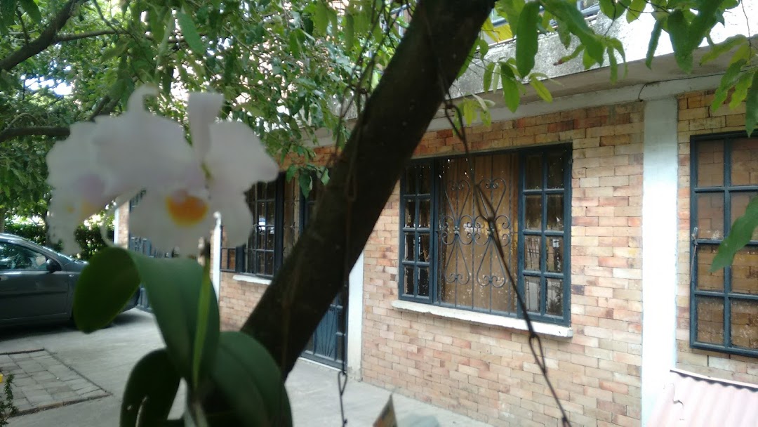 Hight Tech Consulting