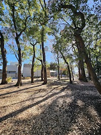 上野の森美術館