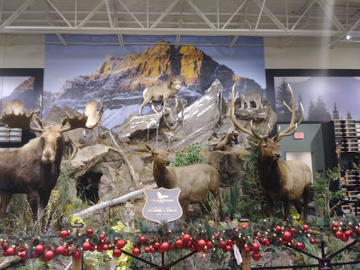 Outdoor Sports Store «Field & Stream», reviews and photos, 1501 Sentinel Dr Ste B, Chesapeake, VA 23320, USA