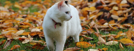 391 N Main St, West Lebanon, NH 03784, USA