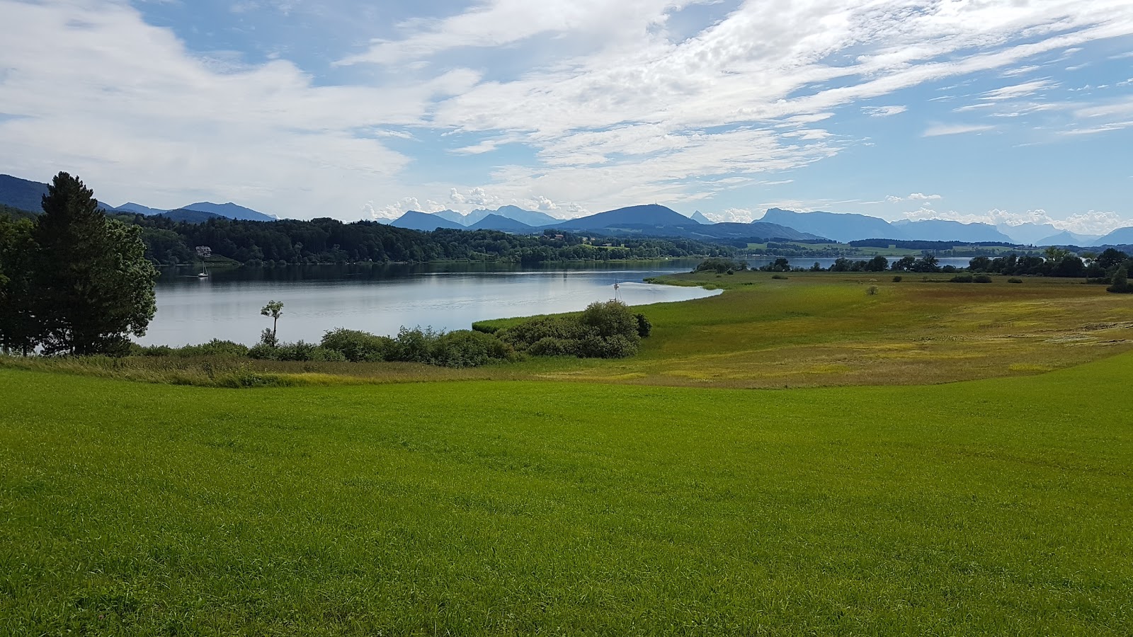Φωτογραφία του Naturstrandbad Zell am Wallersee με μια ευρύχωρη ακτογραμμή
