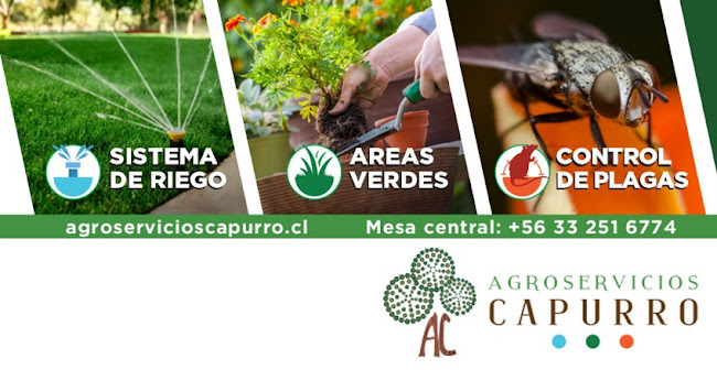 Opiniones de Agroservicios Capurro Limache en Limache - Empresa de fumigación y control de plagas