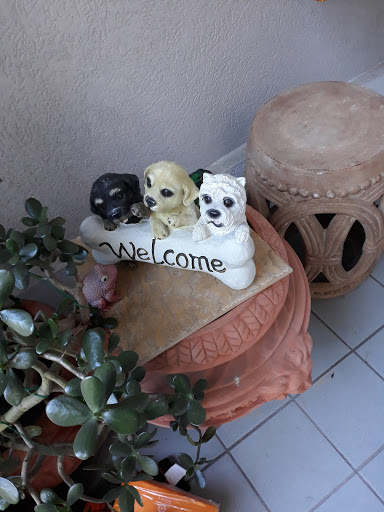 Blood Donation Center «Biotest Plasma Center, Plasma Donation Centers», reviews and photos