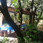 Photo n°5 de l'avis de Elena.e fait le 18/08/2017 à 22:06 sur le  Su Meriacru | Cucina Identitaria à Siniscola