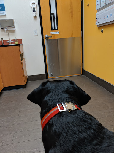 Pet Supply Store «PetSmart», reviews and photos, 2865 Oak Valley Dr, Ann Arbor, MI 48103, USA