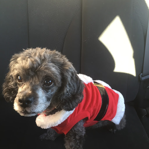 Pet Supply Store «PetSmart», reviews and photos, 114 Commerce Way, Woburn, MA 01801, USA