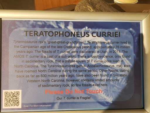 Science Museum «Asheville Museum of Science», reviews and photos, 43 Patton Ave, Asheville, NC 28801, USA