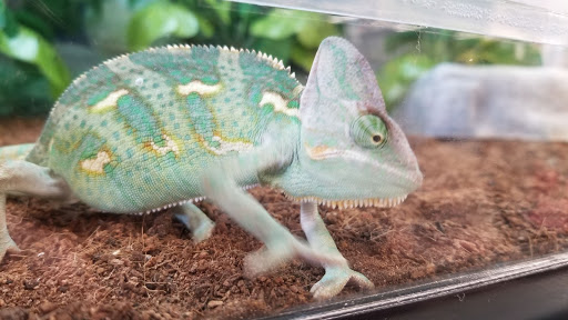 Pet Supply Store «Petco Animal Supplies», reviews and photos, 8161 Beverly Blvd, Los Angeles, CA 90048, USA