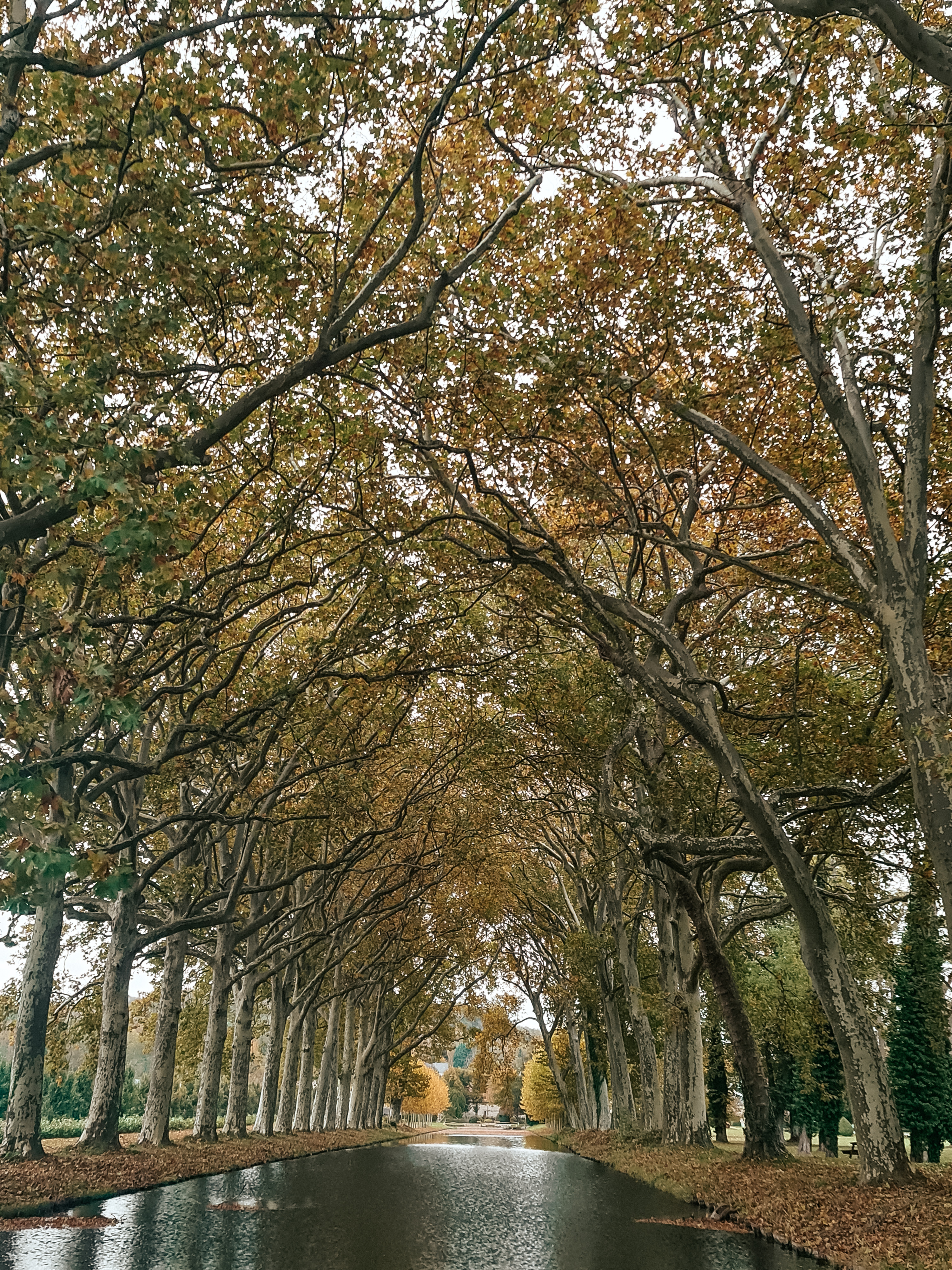Photo n° 9 de l'avis de Cyrielle.o fait le 30/10/2021 à 16:42