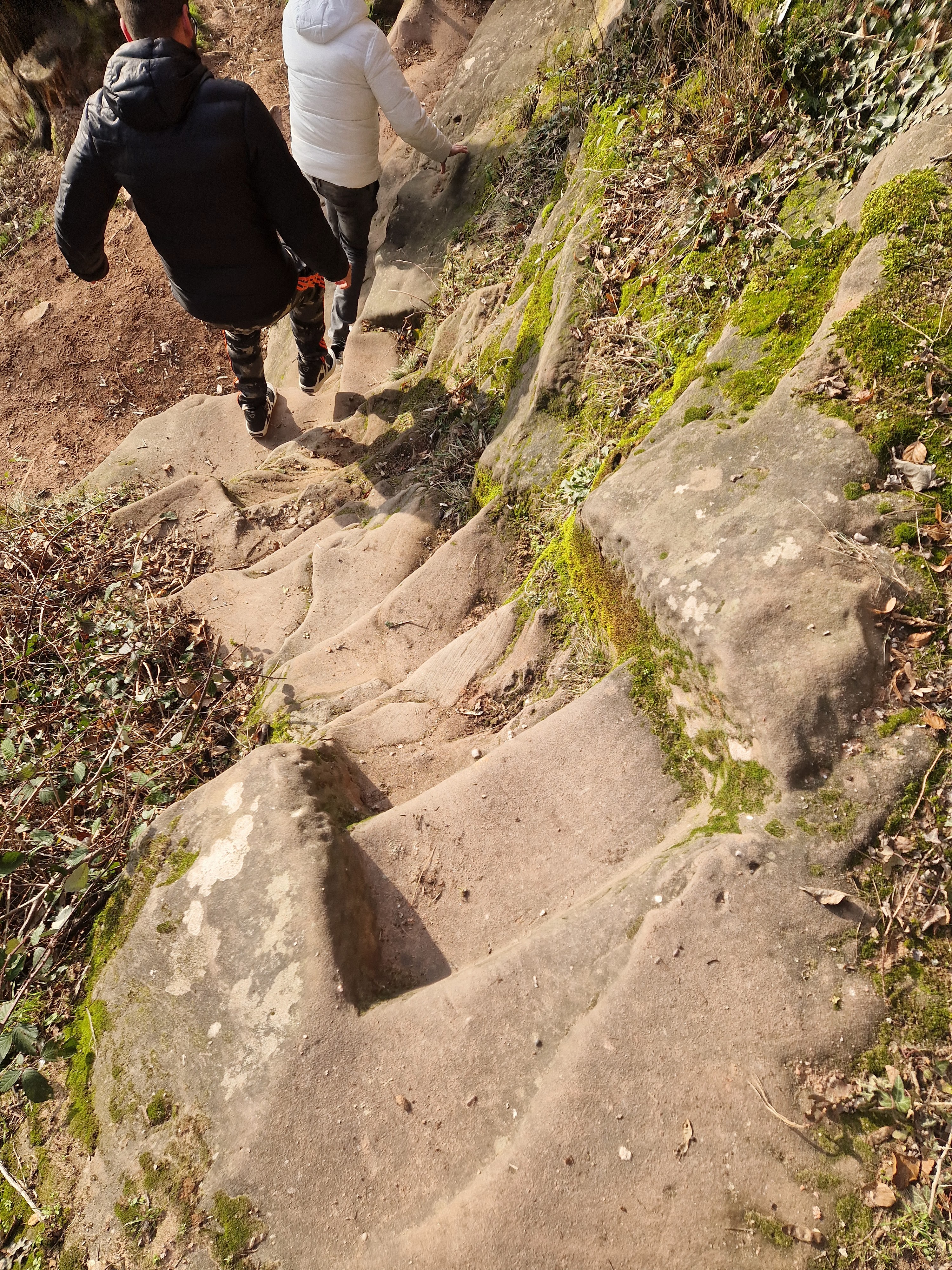 Photo n° 25 de l'avis de Beno. fait le 14/01/2024 à 20:33