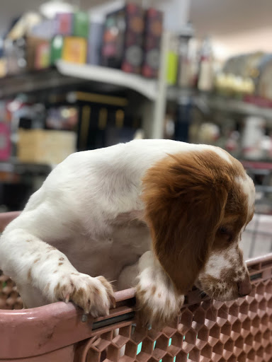 Department Store «HomeGoods», reviews and photos, 4483 Commons Dr W, Destin, FL 32541, USA