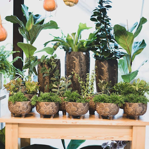 Kwiaciarnia z duszą - Biskupiec