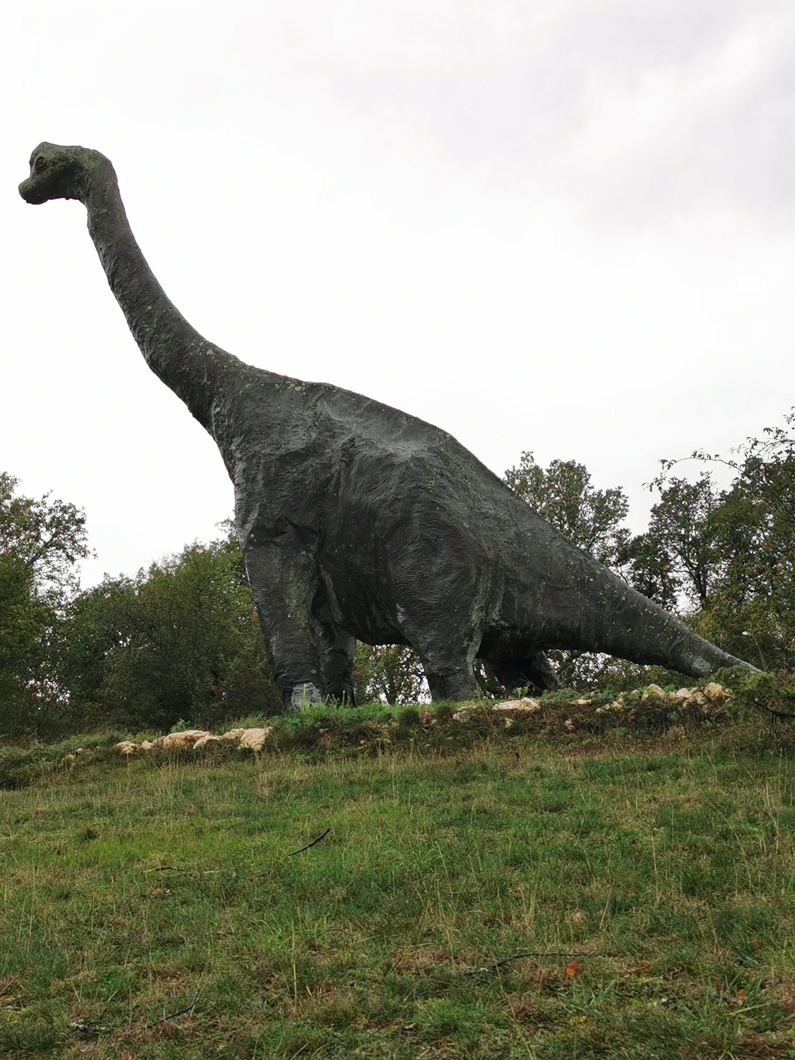 Photo n° 6 de l'avis de pascal. fait le 23/10/2019 à 14:57