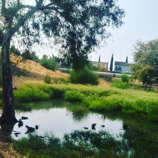 Museum «Manitou Cliff Dwellings», reviews and photos, 10 Cliff Rd, Manitou Springs, CO 80829, USA