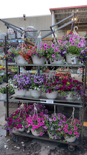 Home Improvement Store «The Home Depot», reviews and photos, 955 Bloomfield Ave, Clifton, NJ 07012, USA