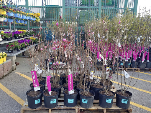 Home Improvement Store «The Home Depot», reviews and photos, 825 E Dundee Rd, Palatine, IL 60074, USA