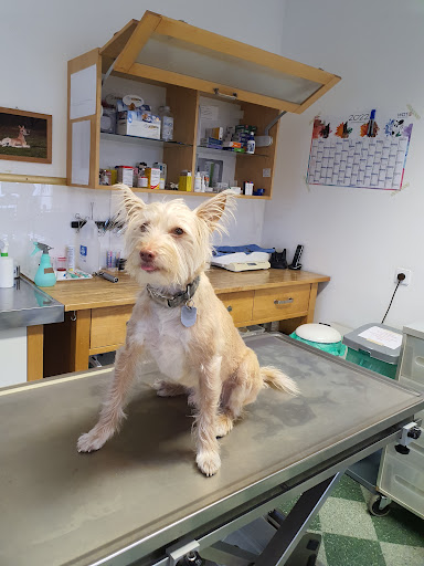 Veterinary practice Gritli-Catrina Barich unter Strausberg, Brandenburg