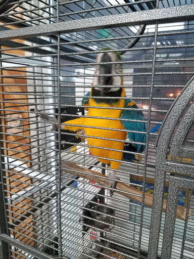 Pet Store «El Palomar Pet Shop Inc», reviews and photos, 4712 W Flagler St, Coral Gables, FL 33134, USA
