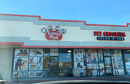 Pet Store «Puppies Plus LLC», reviews and photos, 6405 S Virginia St # 1, Reno, NV 89511, USA
