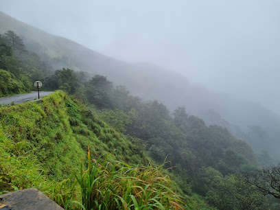 Charmadi Ghat View Point