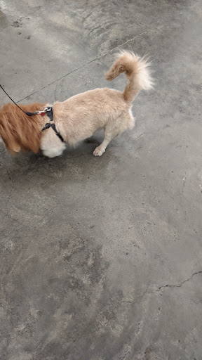 Pet Supply Store «Pet Supplies Plus», reviews and photos, 1411 S Stockton St, Lodi, CA 95240, USA