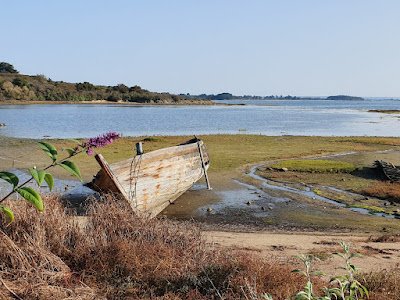 Île aux Moines à Île-aux-Moines