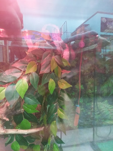 Animal Feed Store «Franklin Hardware & Pet Center», reviews and photos, 1975 Philadelphia Ave, Chambersburg, PA 17201, USA