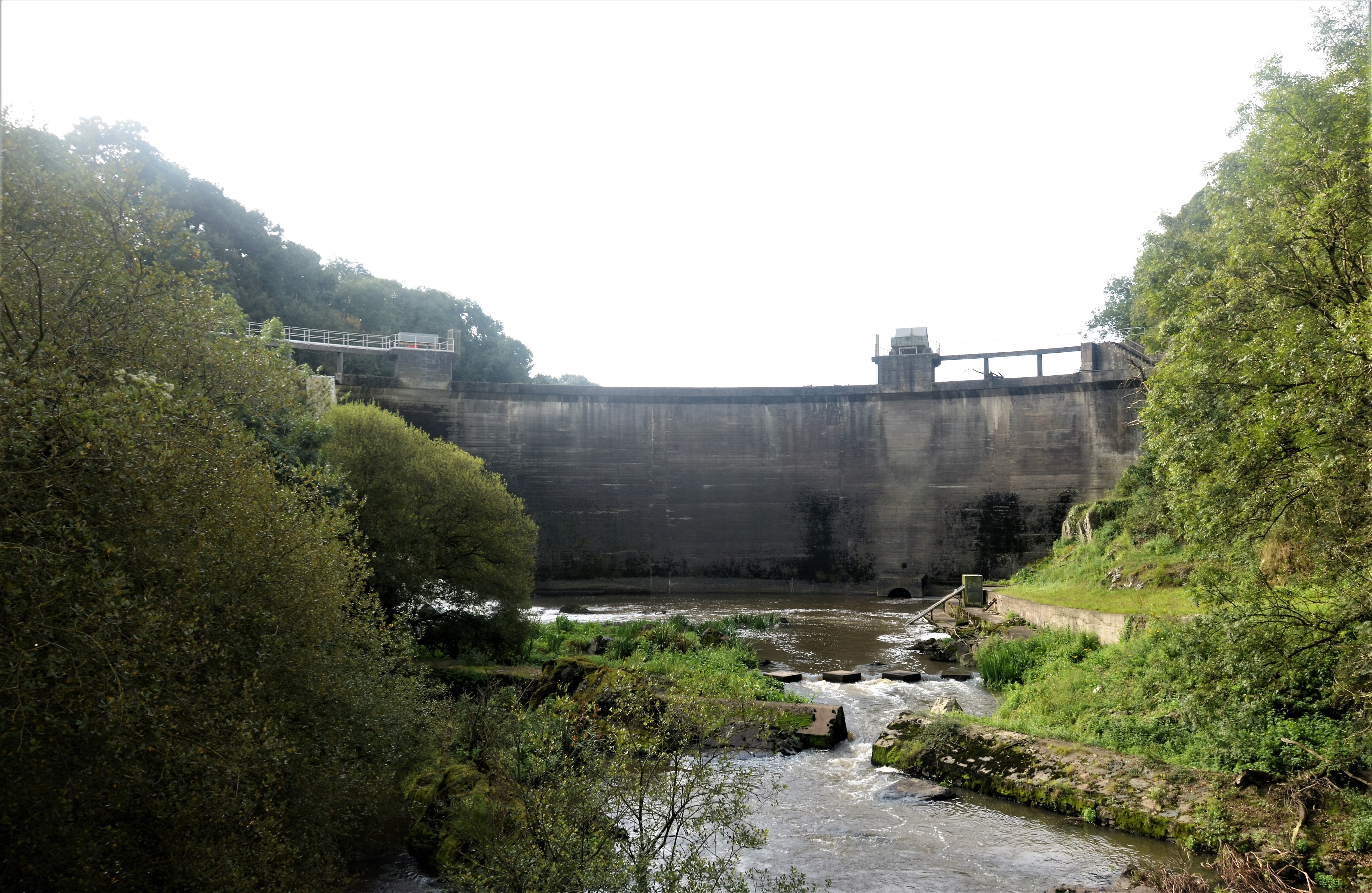 Photo n° 1 de l'avis de P.o fait le 25/04/2022 à 17:25