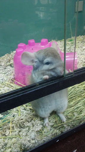 Pet Supply Store «Pet Supplies Plus», reviews and photos, 254 S Illinois Ave, Oak Ridge, TN 37830, USA