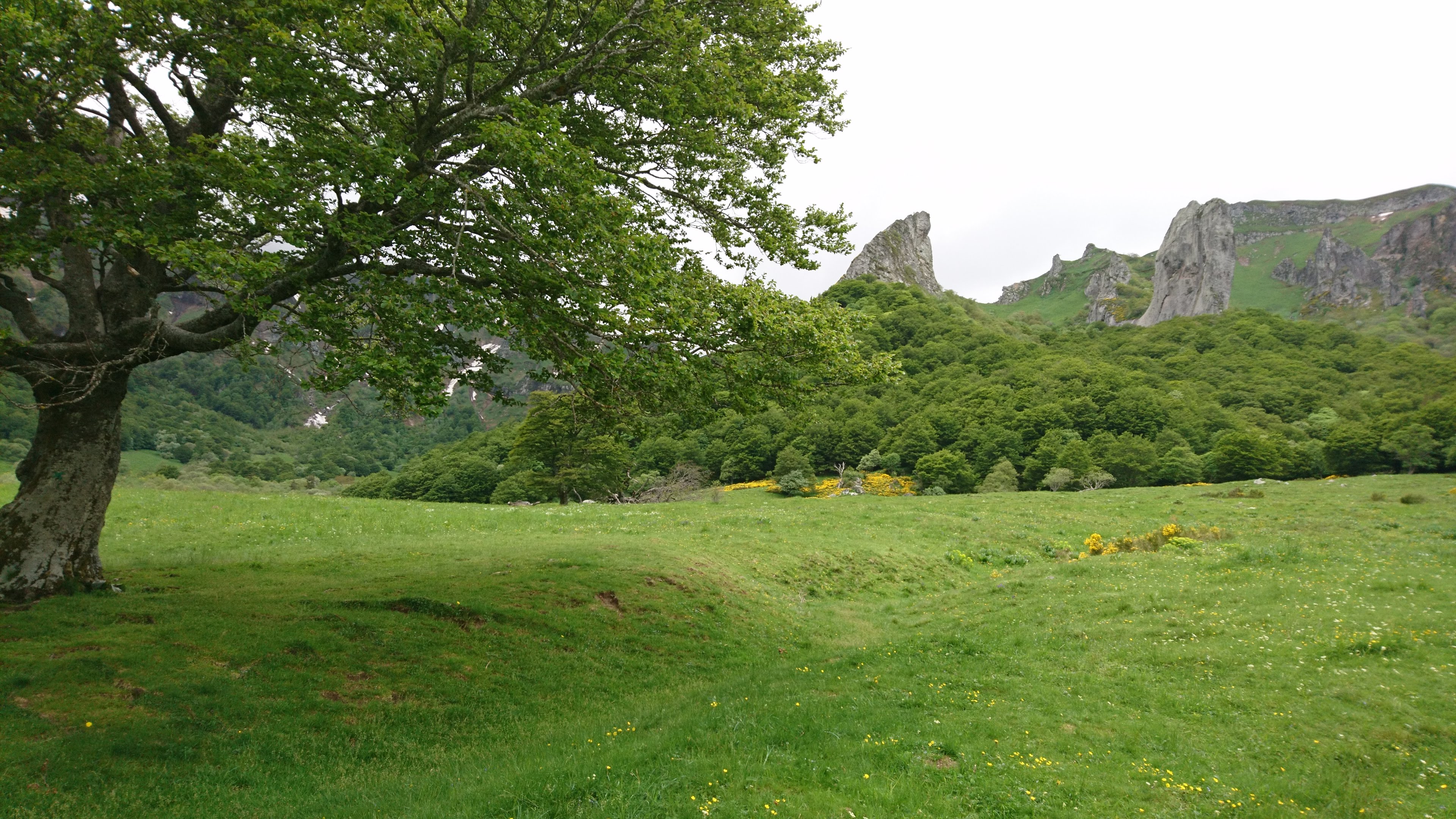 Photo n° 1 de l'avis de Claude.O fait le 04/06/2018 à 10:55