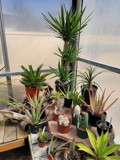 Florist «Platte Floral», reviews and photos, 1417 E Platte Ave, Colorado Springs, CO 80909, USA