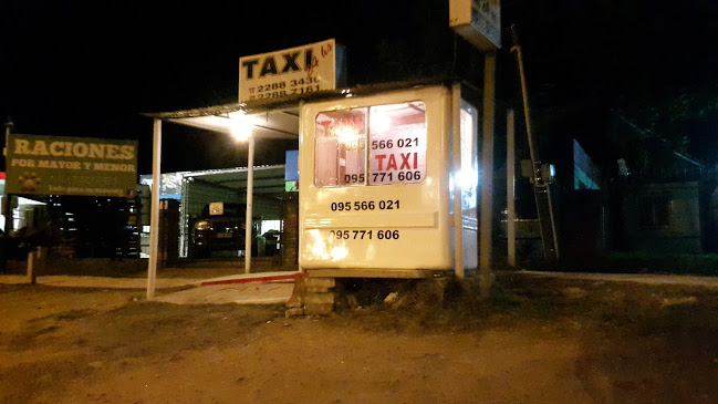 Taxi Ruta 8