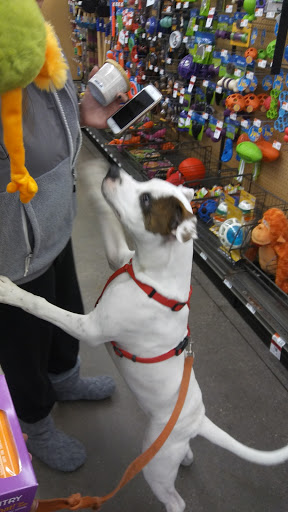 Pet Supply Store «Pet Supplies Plus», reviews and photos, 421 Green Springs Hwy Ste, Homewood, AL 35209, USA