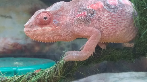 Pet Supply Store «Petco Animal Supplies», reviews and photos, 10 Sylvan St, Peabody, MA 01960, USA