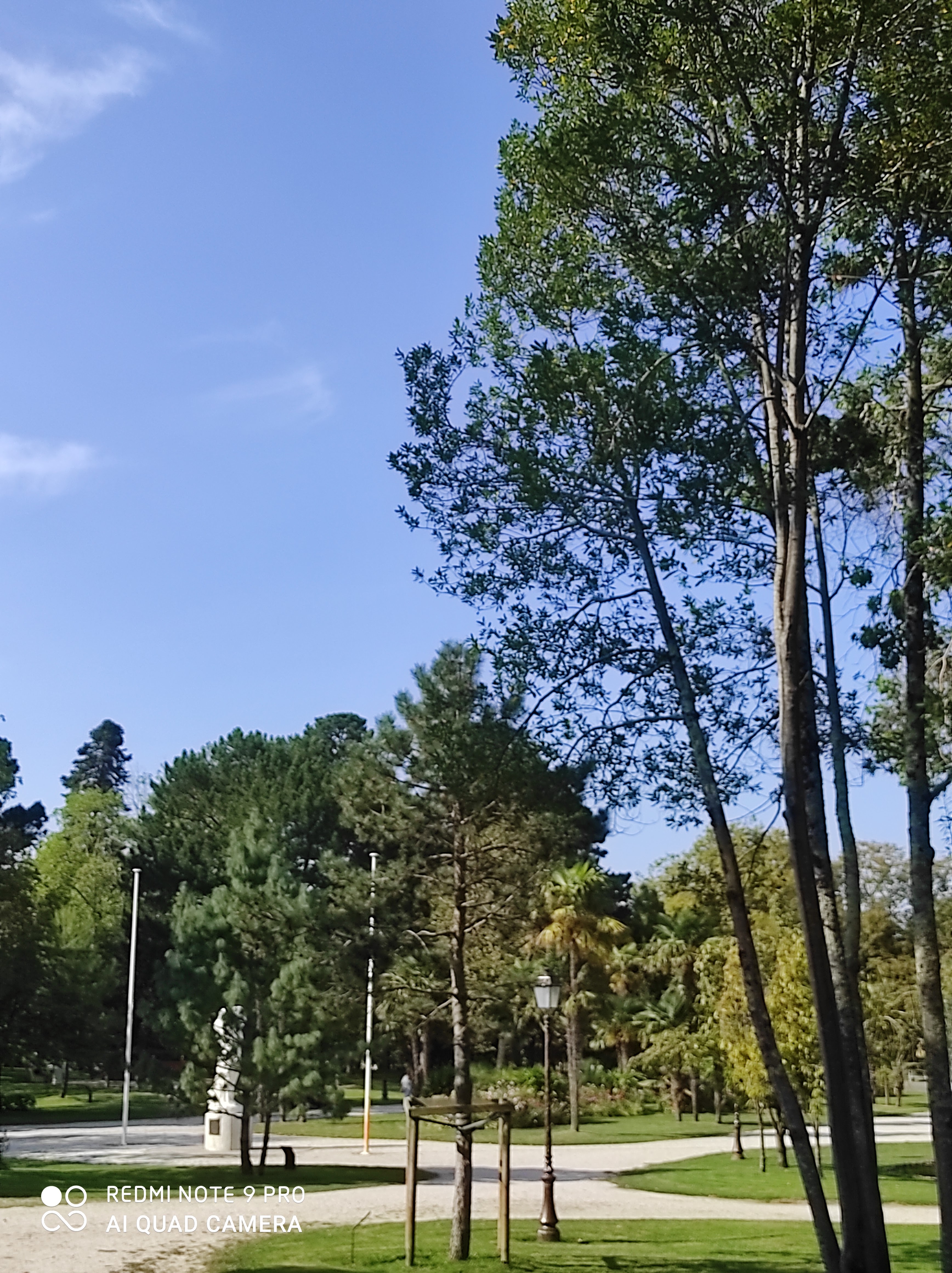 Photo n° 5 de l'avis de GHISLAINE.h fait le 18/09/2020 à 11:45