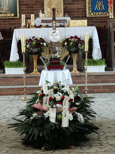 Numer telefony do Aneri