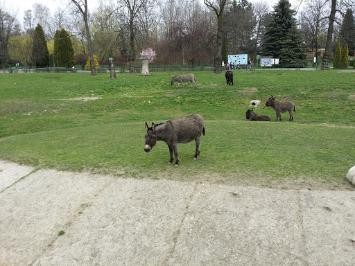 Silesian Zoological Park