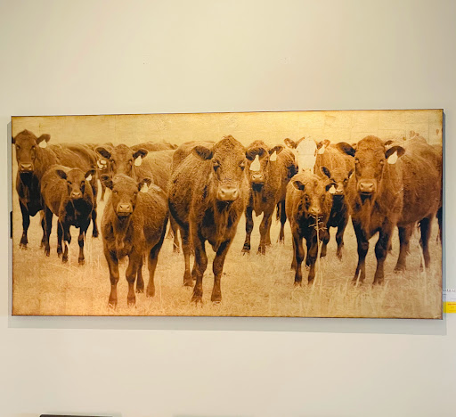 Furniture Store «Euro Living Modern Furniture store Dallas Texas», reviews and photos, 4200 Harry Hines Blvd, Dallas, TX 75219, USA