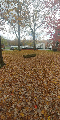 College «Union College», reviews and photos